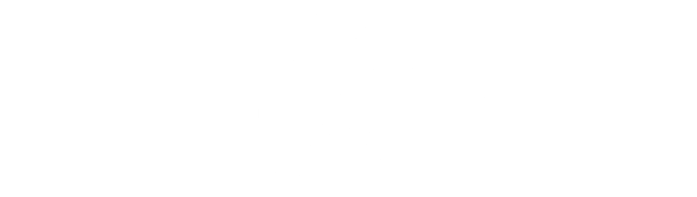 Guild Wars 2