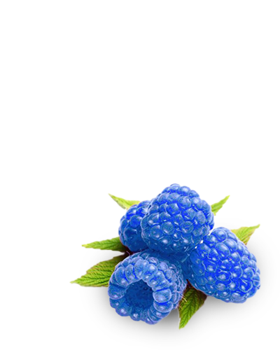 Charged Refresher – Madrinas