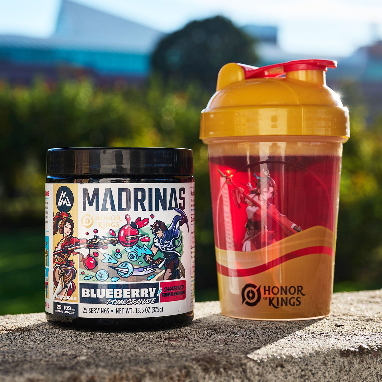 Honor of Kings Shaker Cup