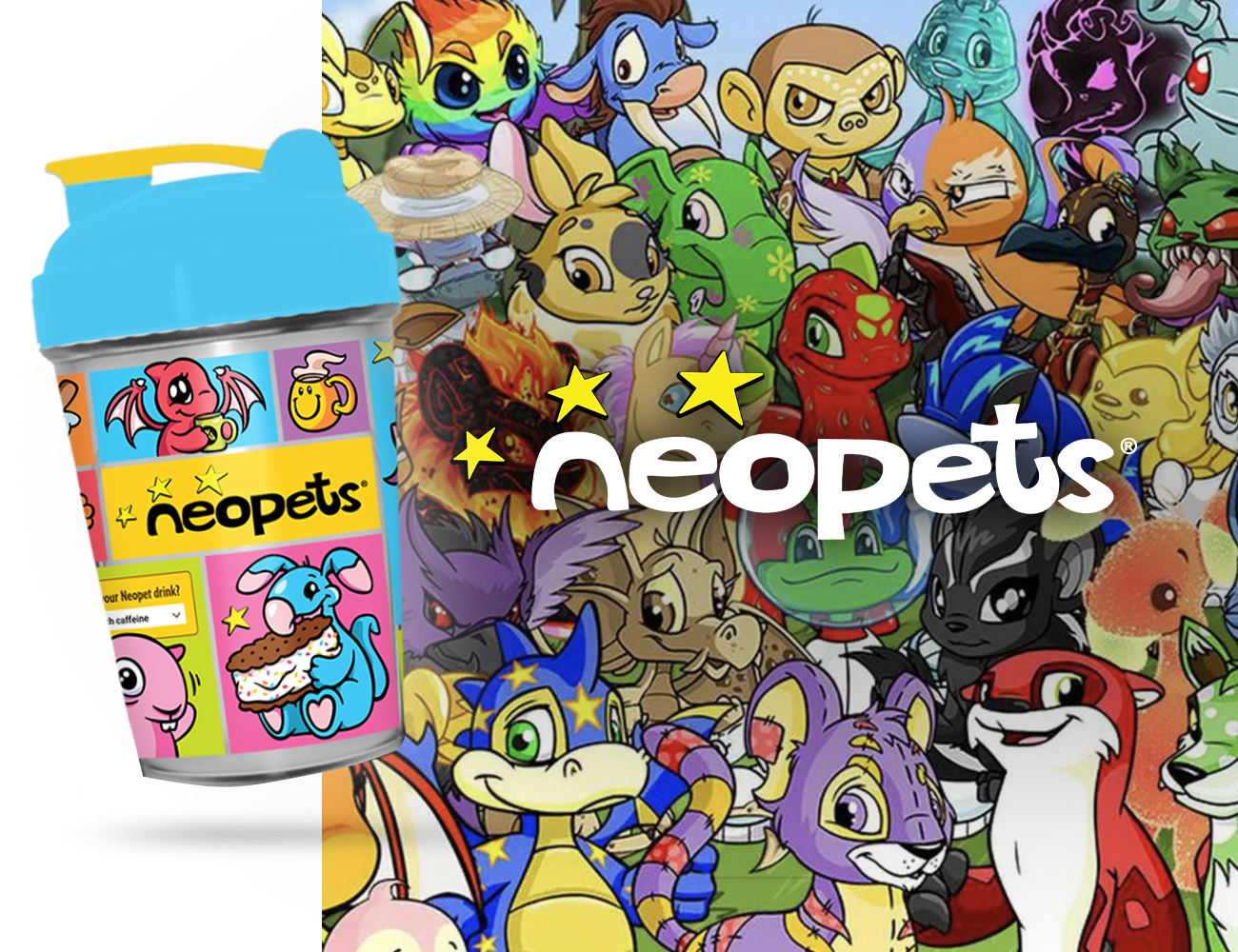 Neopets Experiments Neopets Collector's Box | MADRINAS x Neopets