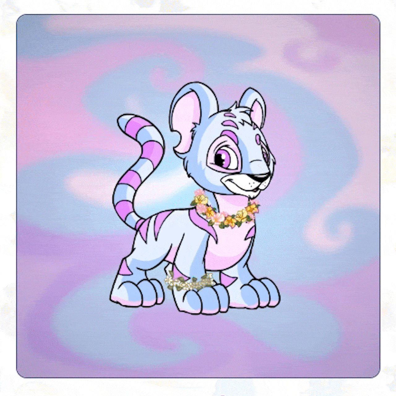 Neopets Collector's Box