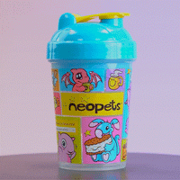Thumbnail for Neopets Collector's Box