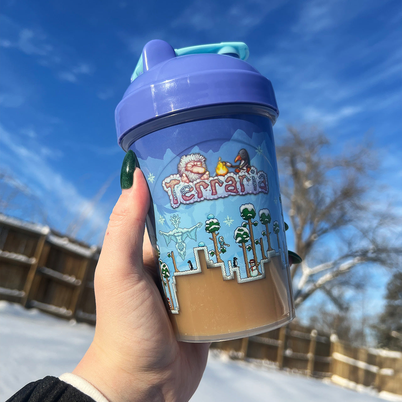 Terraria Collector's Box